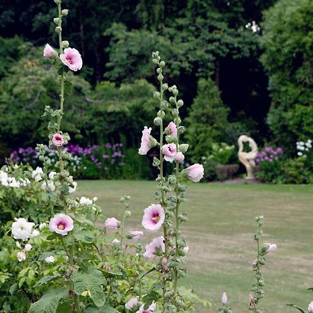 Karetu Downs Farm Stay Hawarden Buitenkant foto