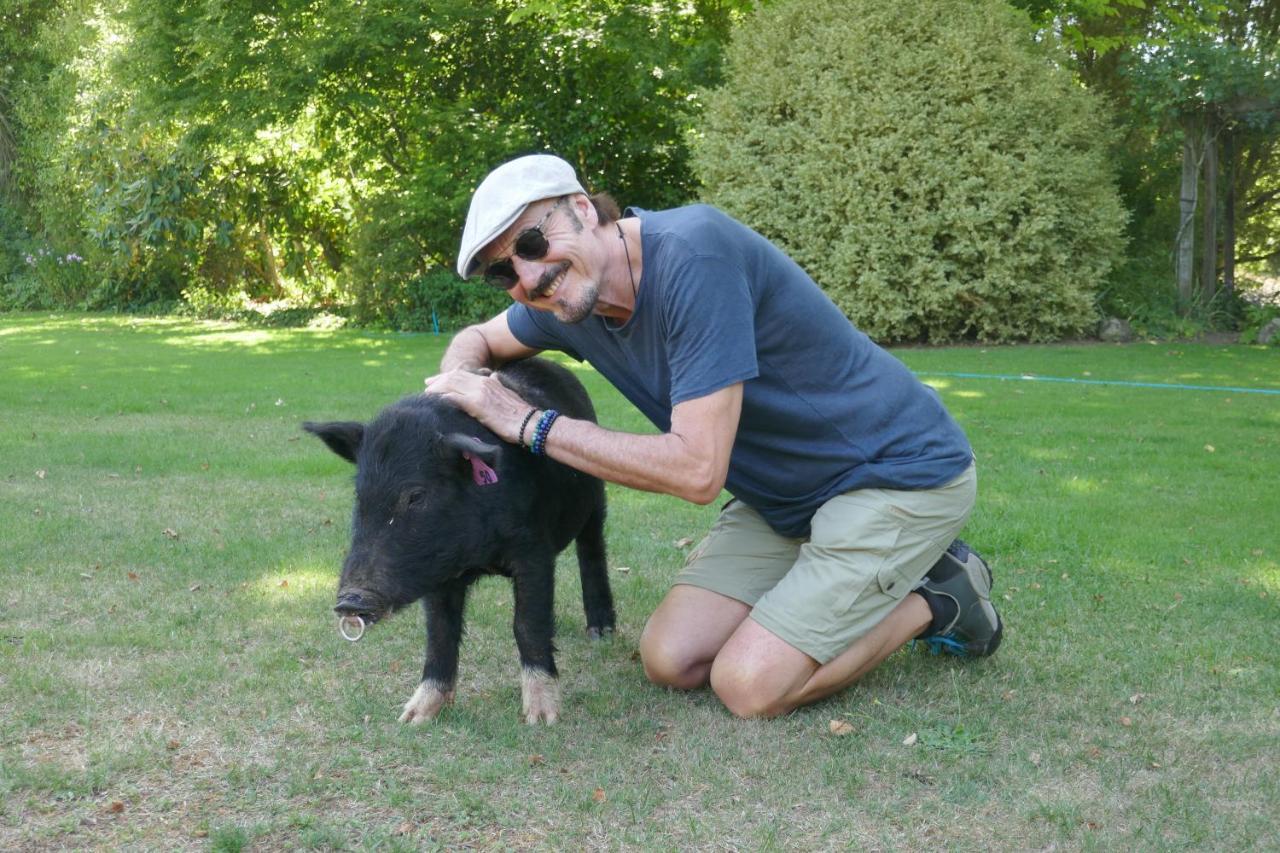 Karetu Downs Farm Stay Hawarden Buitenkant foto