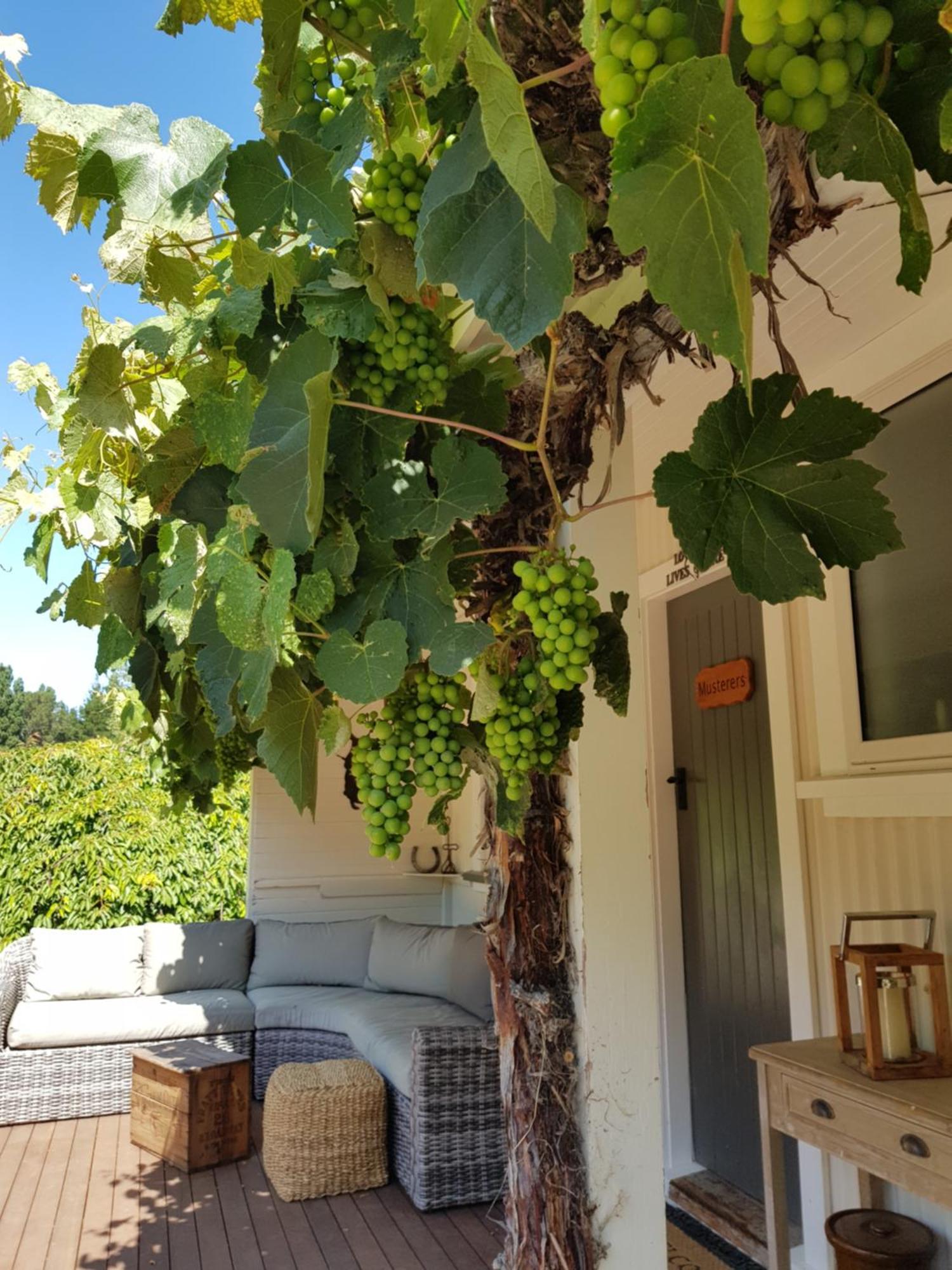 Karetu Downs Farm Stay Hawarden Buitenkant foto