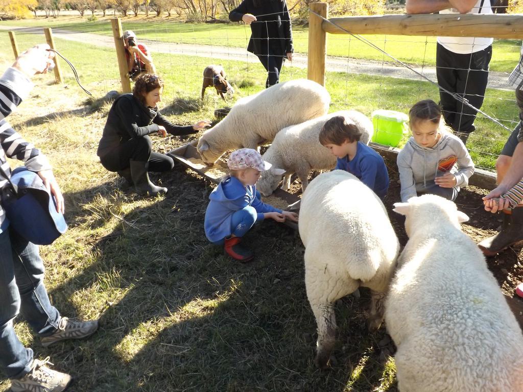 Karetu Downs Farm Stay Hawarden Buitenkant foto