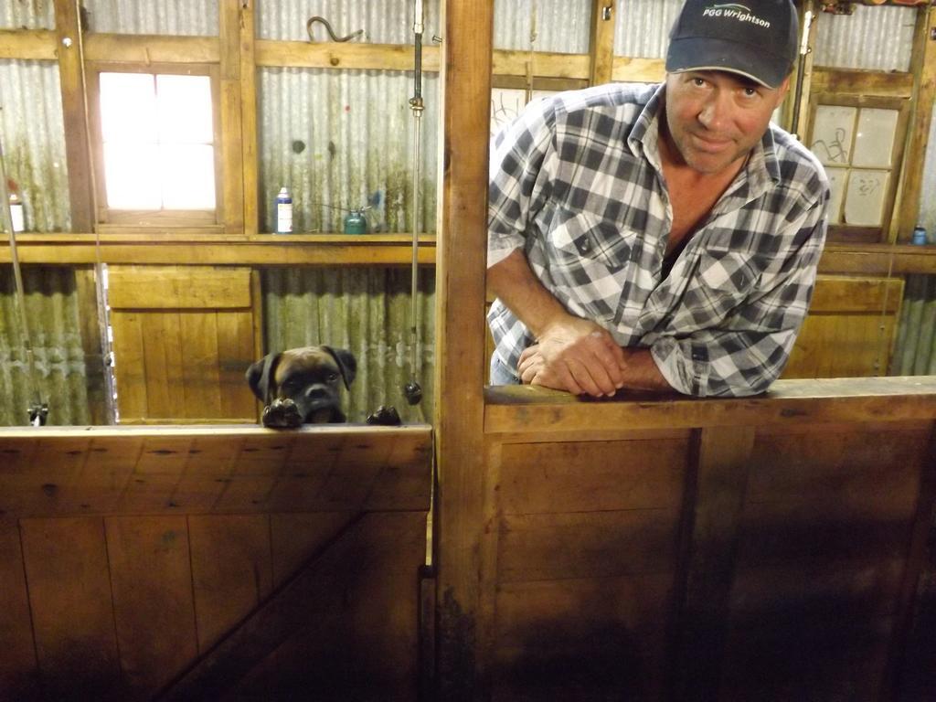 Karetu Downs Farm Stay Hawarden Buitenkant foto