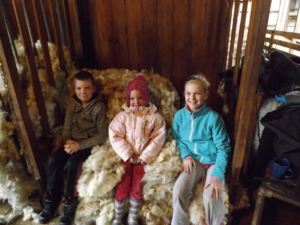 Karetu Downs Farm Stay Hawarden Buitenkant foto
