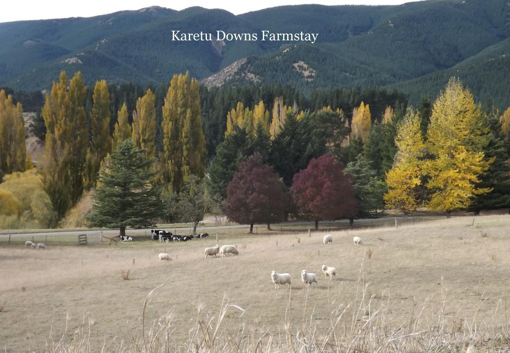 Karetu Downs Farm Stay Hawarden Buitenkant foto