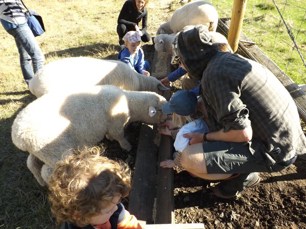 Karetu Downs Farm Stay Hawarden Buitenkant foto
