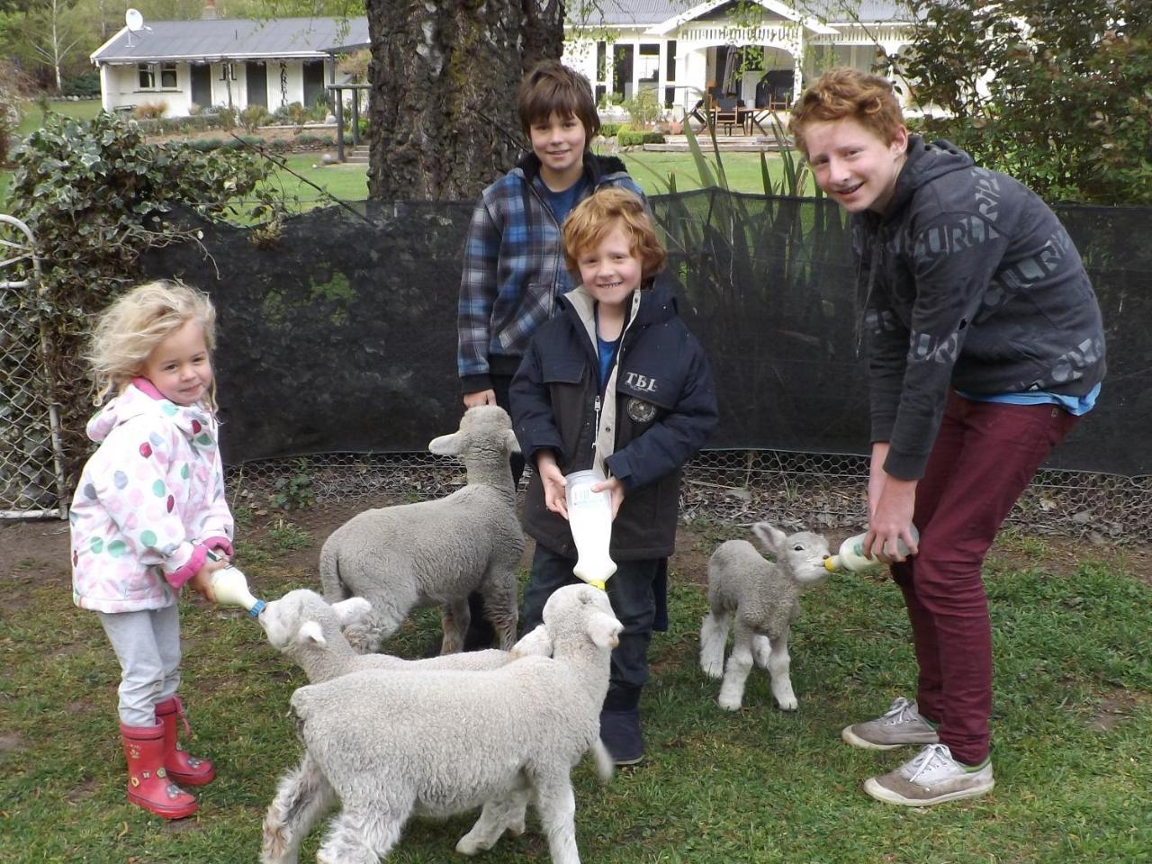 Karetu Downs Farm Stay Hawarden Buitenkant foto